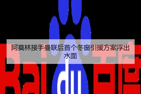 阿莫林接手曼联后首个冬窗引援方案浮出水面